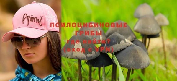 первитин Весьегонск