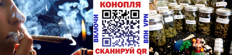 Бошки Шишки планчик Злынка