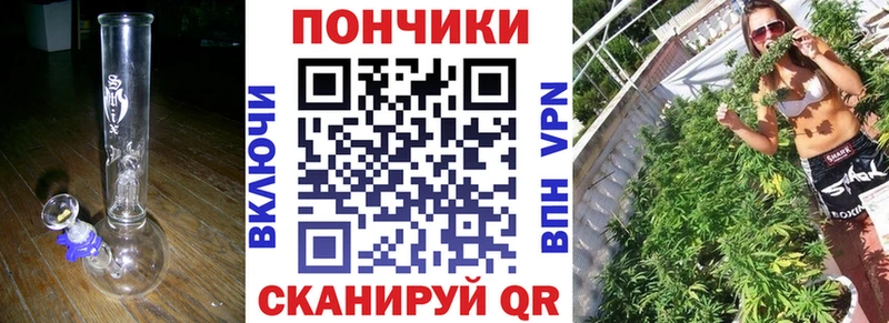 Марихуана сатива  Злынка 